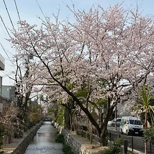  ホームステイ 初音 日本